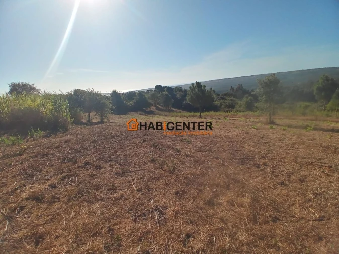 Terreno para Venda em Famalicão Foto 9