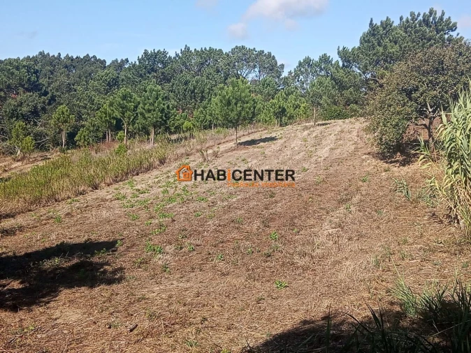 Terreno para Venda em Famalicão Foto 1