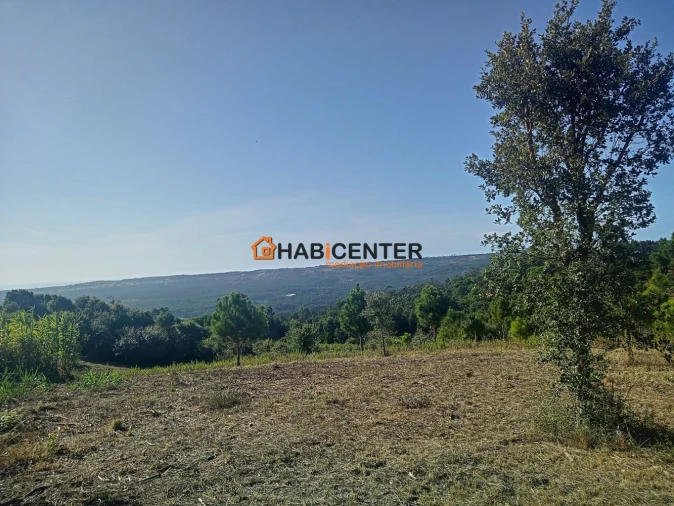 Terreno para Venda em Famalicão Foto 11