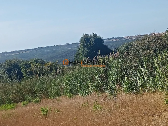 Terreno para Venda em Famalicão Foto 4