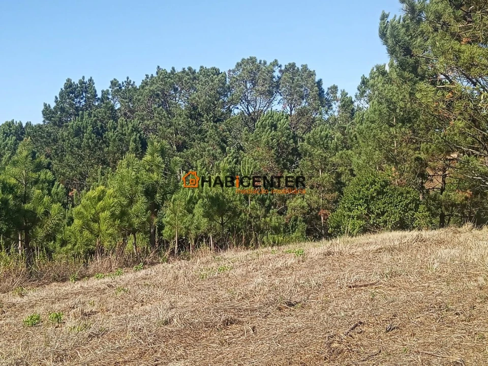 Terreno para Venda em Famalicão Foto 6