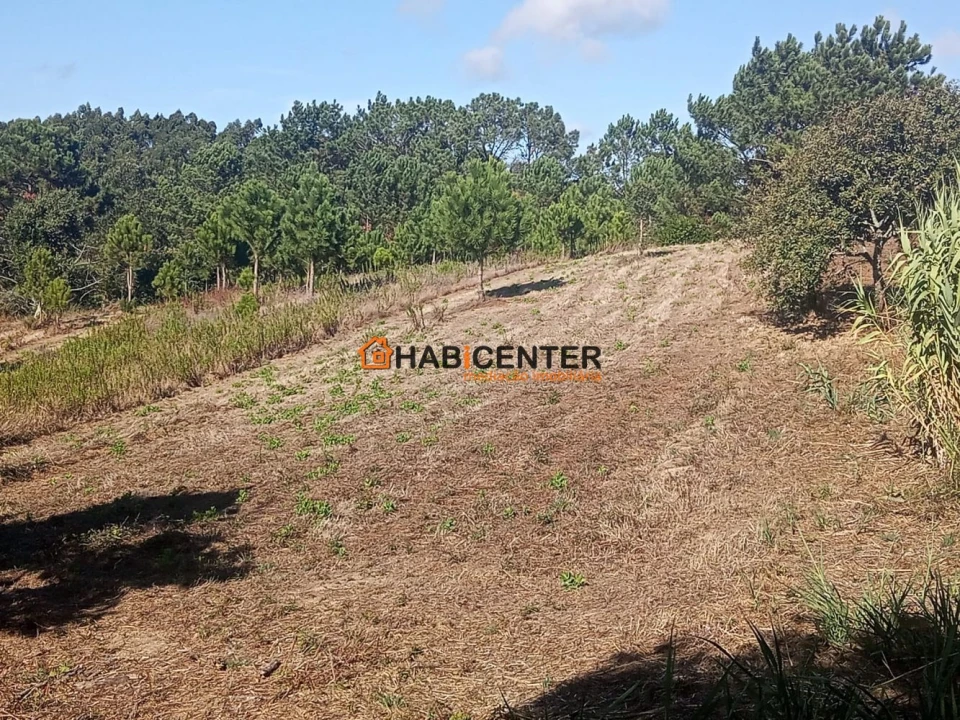 Terreno para Venda em Famalicão Foto 1