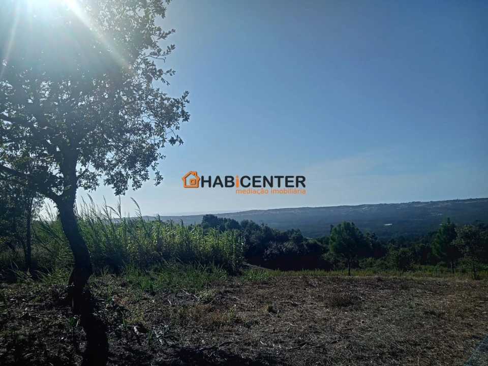 Terreno para Venda em Famalicão Foto 2