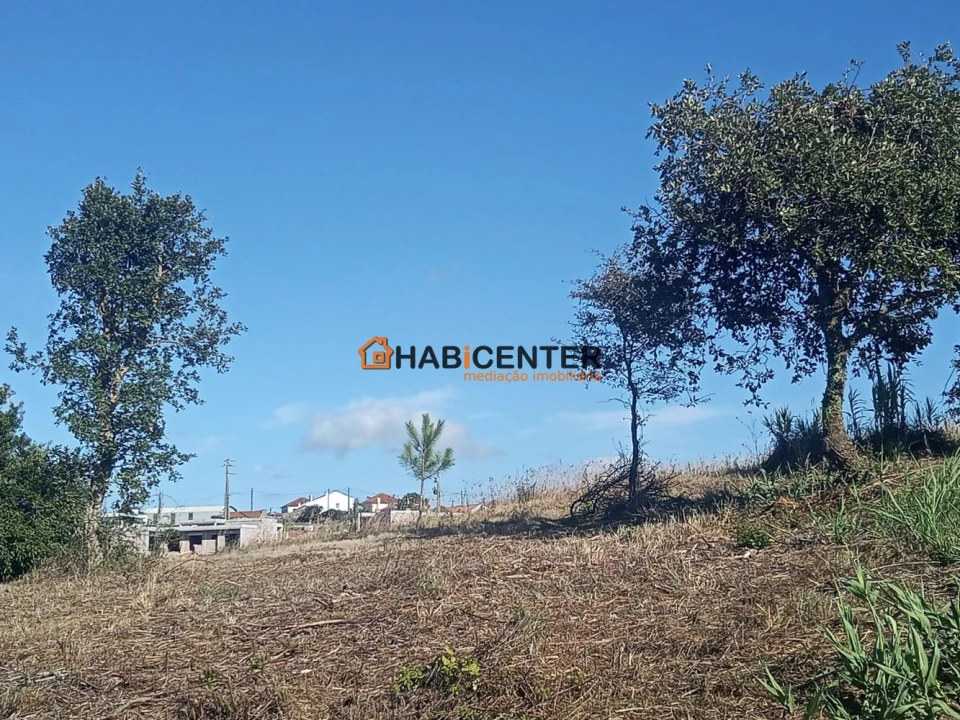 Terreno para Venda em Famalicão Foto 3