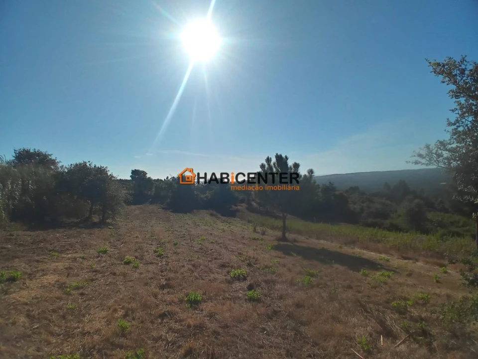 Terreno para Venda em Famalicão Foto 10