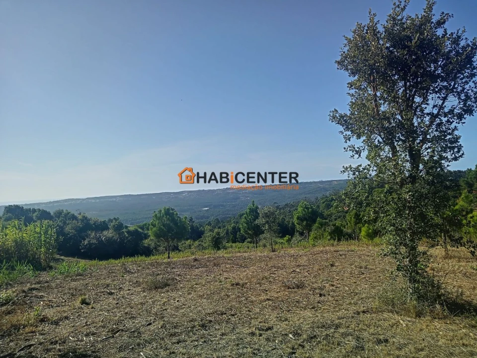 Terreno para Venda em Famalicão Foto 11