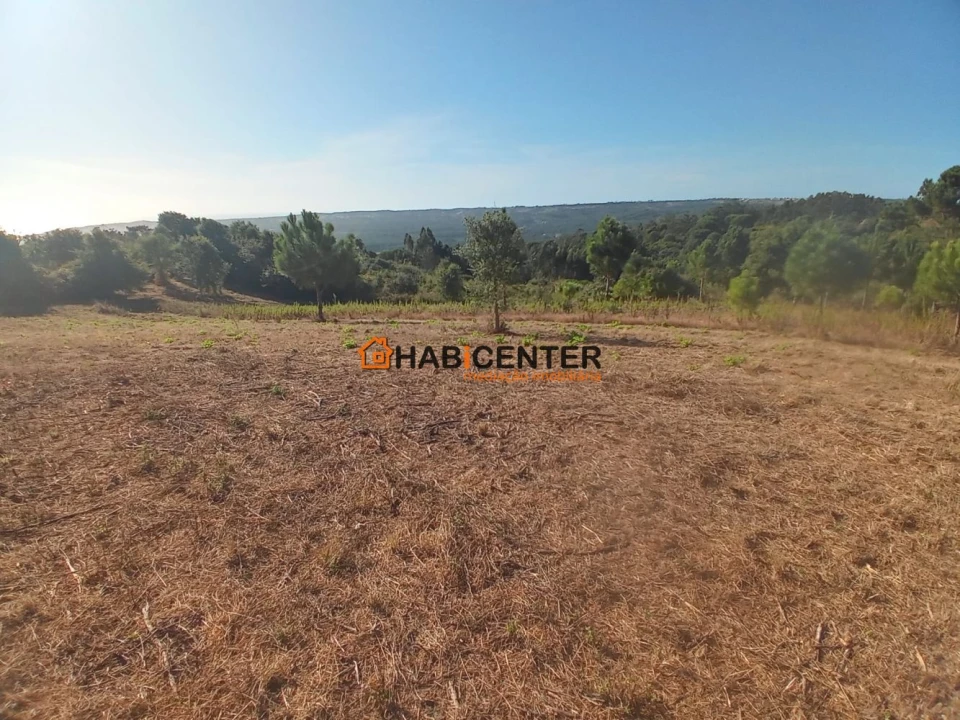 Terreno para Venda em Famalicão Foto 13