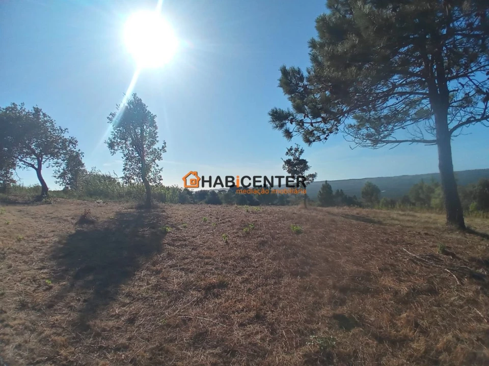 Terreno para Venda em Famalicão Foto 12