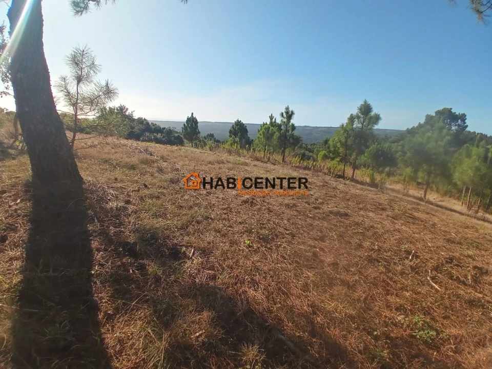 Terreno para Venda em Famalicão Foto 5