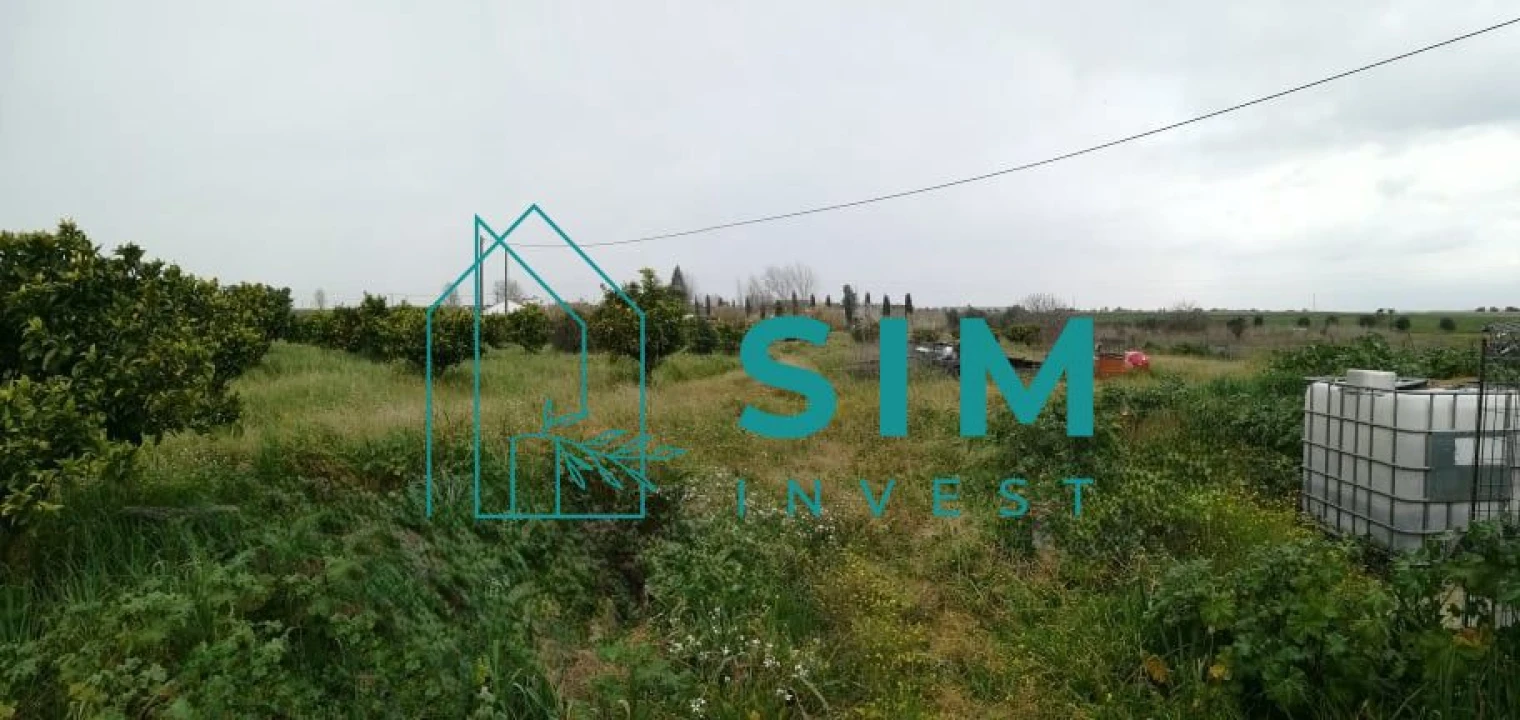 Terreno para Venda em São Miguel de Machede Foto 5