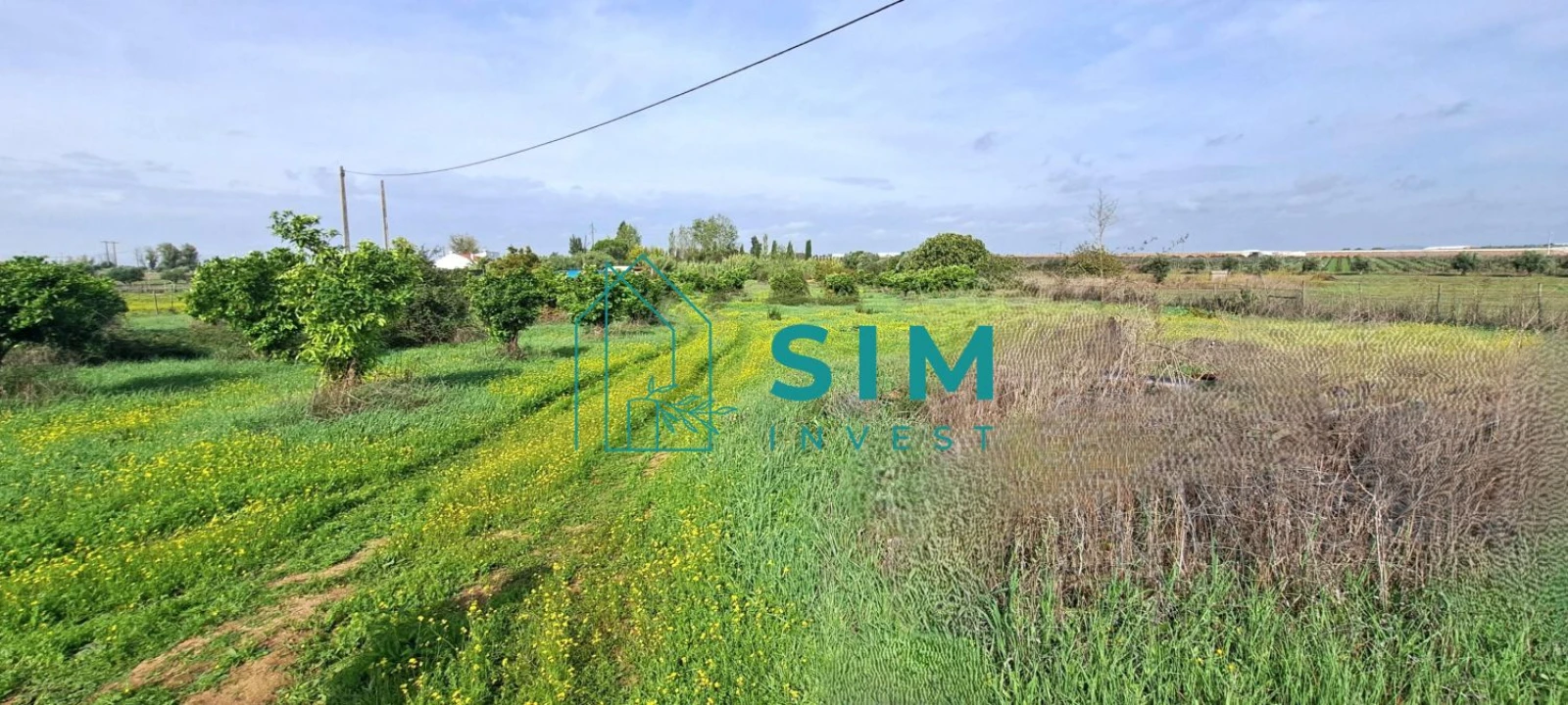 Terreno para Venda em São Miguel de Machede Foto 1