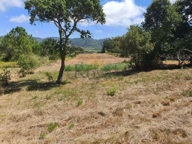 Terreno para Venda em Tornada e Salir do Porto Foto 1