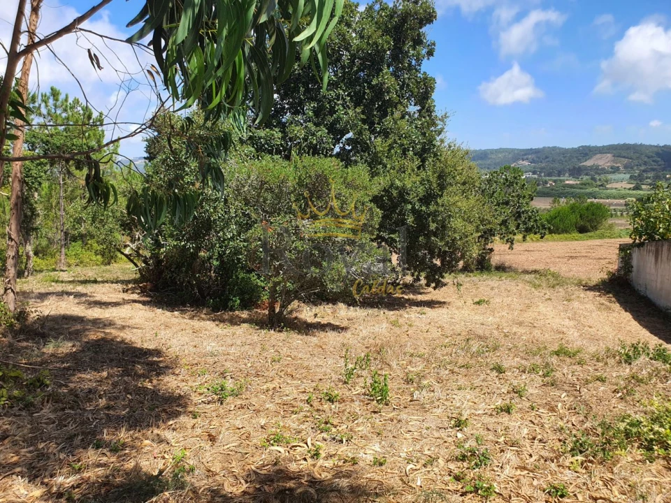 Terreno para Venda em Tornada e Salir do Porto Foto 3