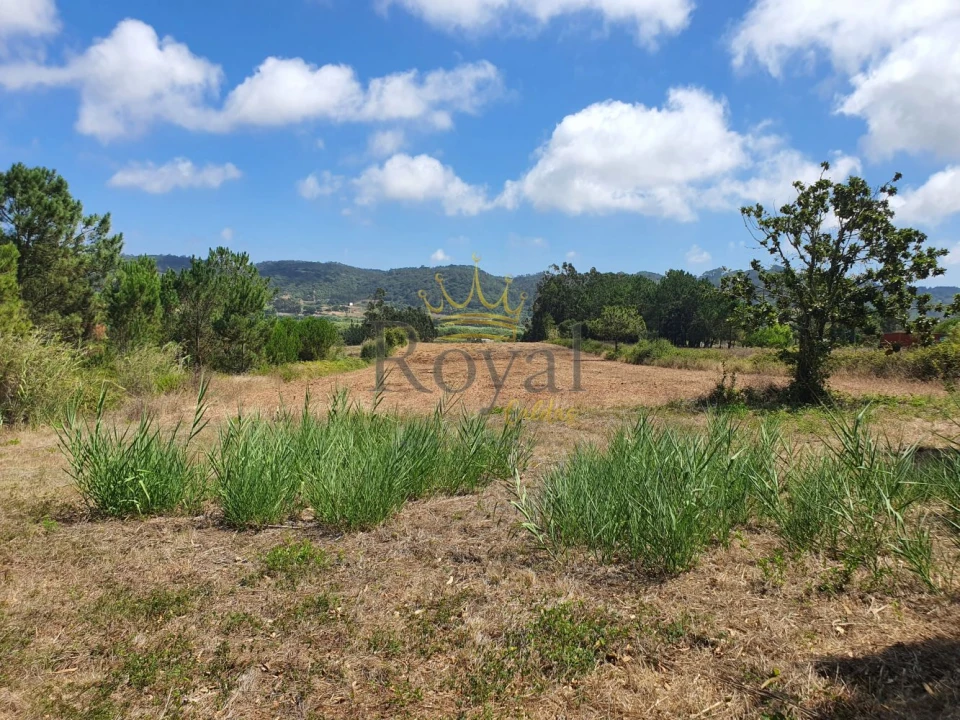 Terreno para Venda em Tornada e Salir do Porto Foto 2