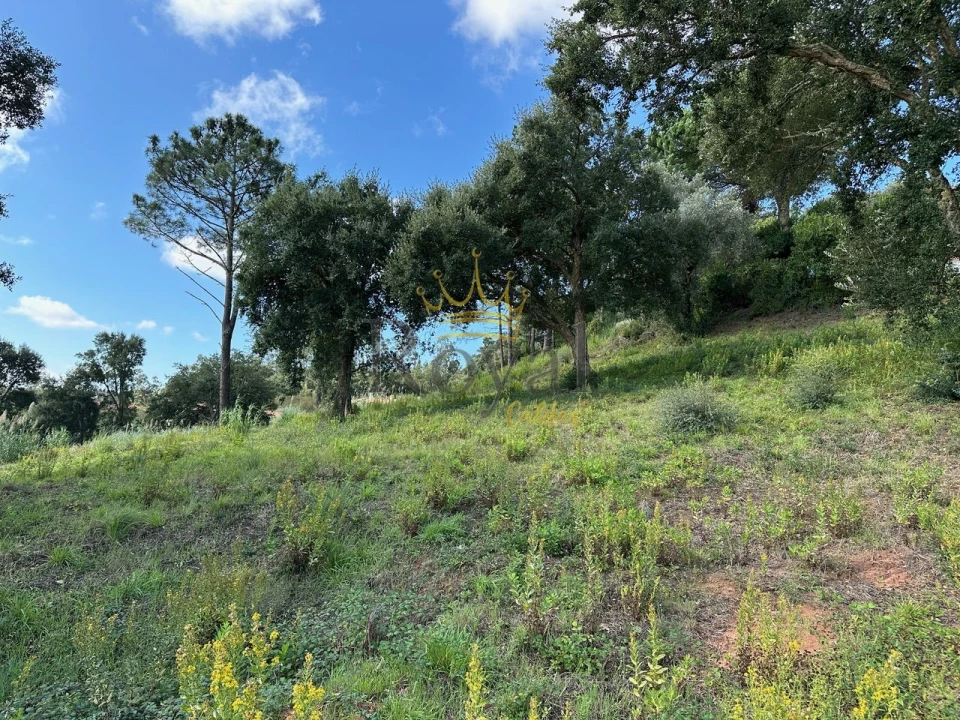 Terreno para Venda em Nossa Senhora do Pópulo, Coto e São Gregório Foto 2