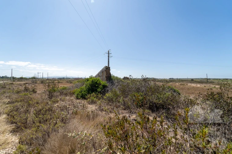 Quinta T2 para Venda em Rogil Foto 22