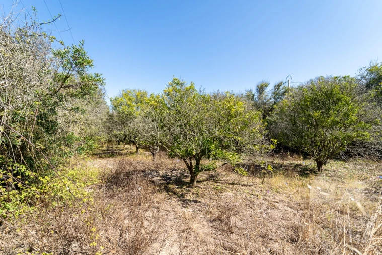 Quinta T2 para Venda em Rogil Foto 10