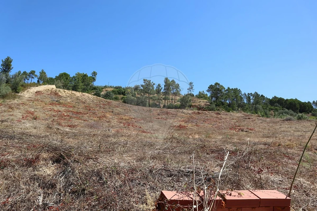 Terreno para Venda em São João da Ribeira e Ribeira de São João Foto 17