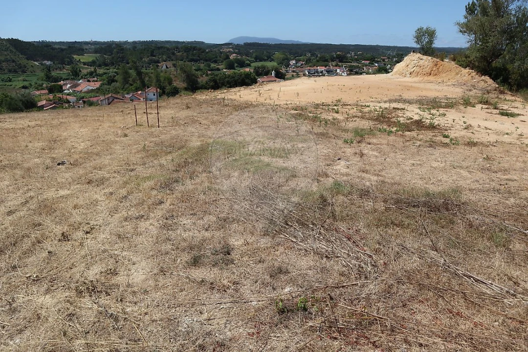 Terreno para Venda em São João da Ribeira e Ribeira de São João Foto 9