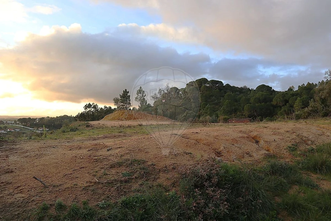 Terreno para Venda em São João da Ribeira e Ribeira de São João Foto 1