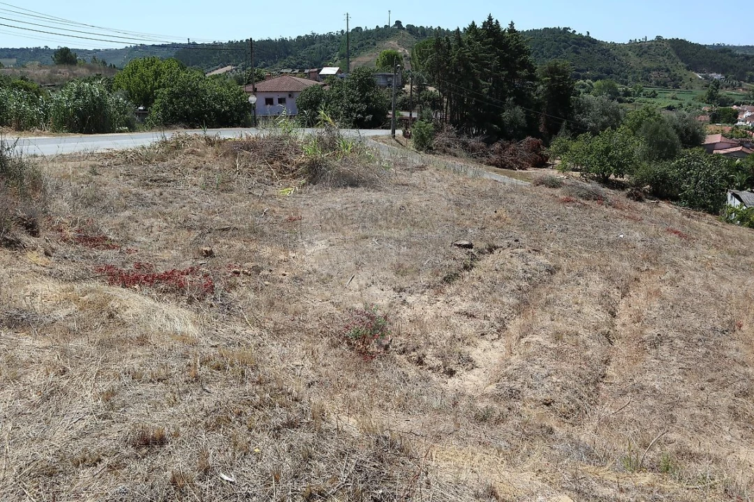 Terreno para Venda em São João da Ribeira e Ribeira de São João Foto 6