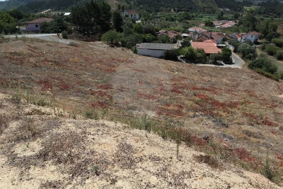 Terreno para Venda em São João da Ribeira e Ribeira de São João