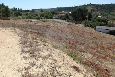 Terreno para Venda em São João da Ribeira e Ribeira de São João
