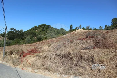 Terreno para Venda em São João da Ribeira e Ribeira de São João