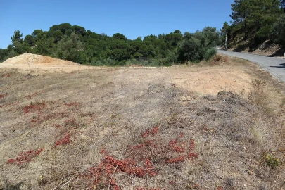 Terreno para Venda em São João da Ribeira e Ribeira de São João