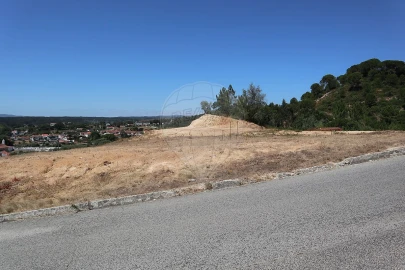 Terreno para Venda em São João da Ribeira e Ribeira de São João