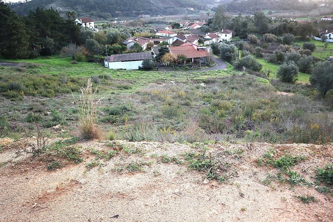 Terreno para Venda em São João da Ribeira e Ribeira de São João Foto 12