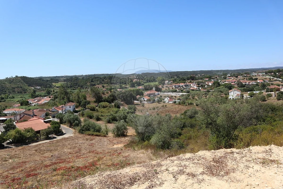Terreno para Venda em São João da Ribeira e Ribeira de São João Foto 14