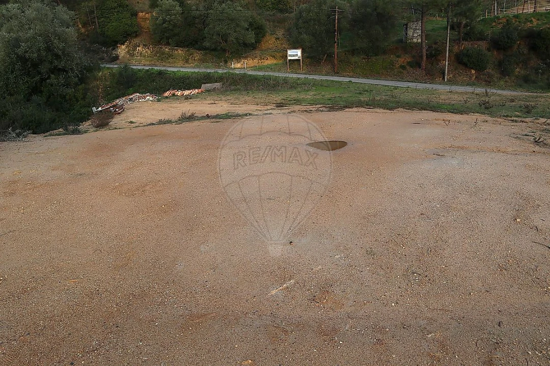Terreno para Venda em São João da Ribeira e Ribeira de São João Foto 10