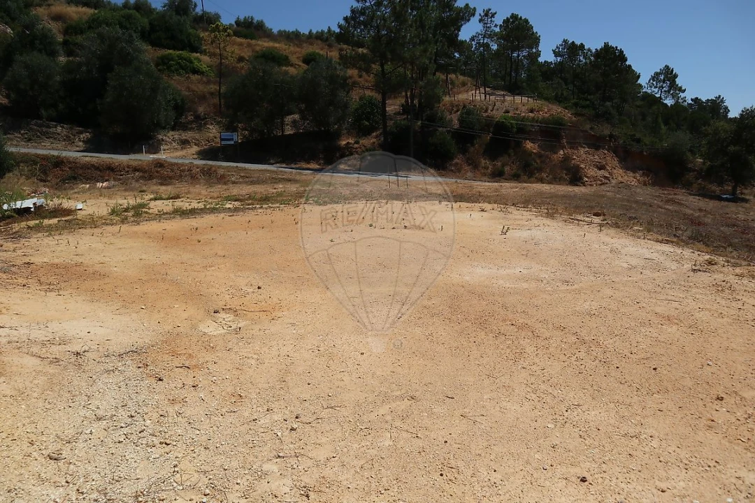 Terreno para Venda em São João da Ribeira e Ribeira de São João Foto 10