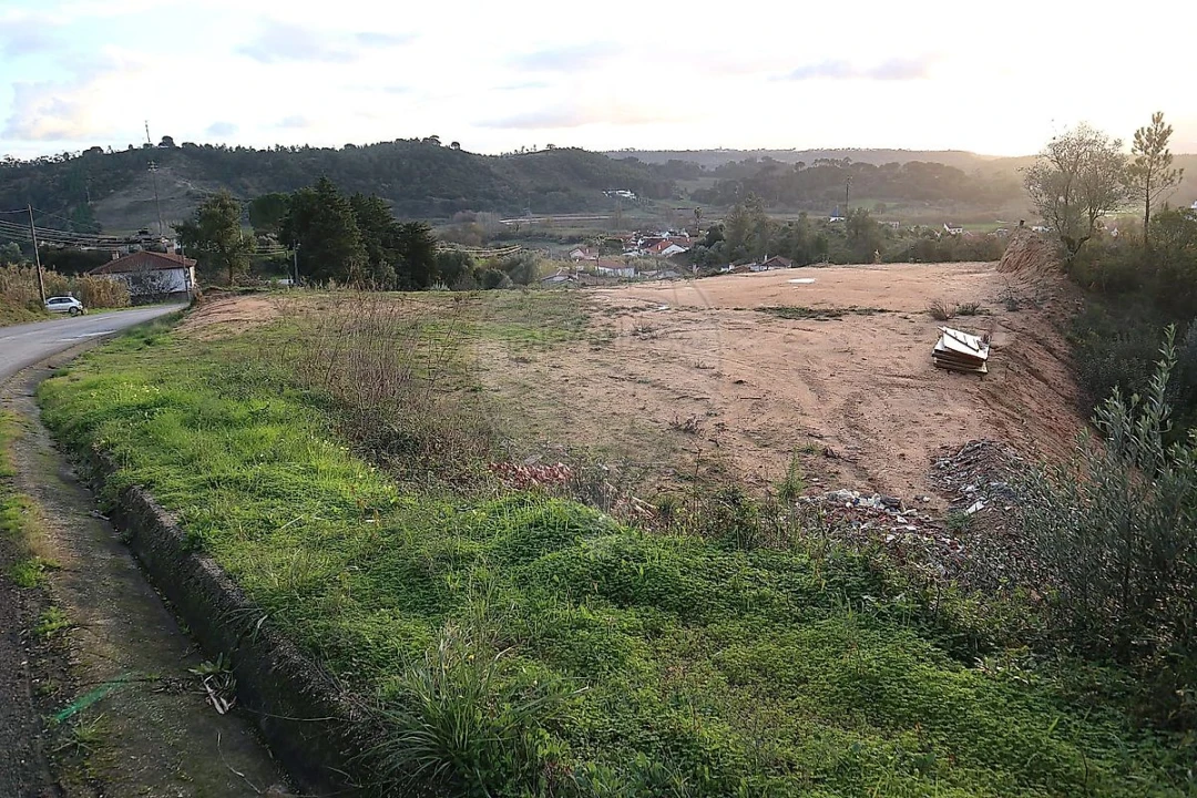 Terreno para Venda em São João da Ribeira e Ribeira de São João Foto 14