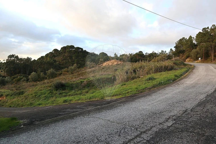 Terreno para Venda em São João da Ribeira e Ribeira de São João Foto 8