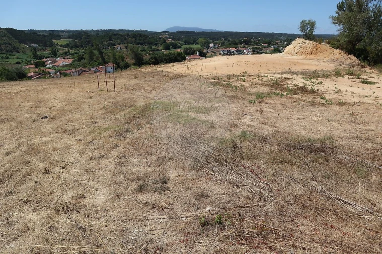 Terreno para Venda em São João da Ribeira e Ribeira de São João Foto 9