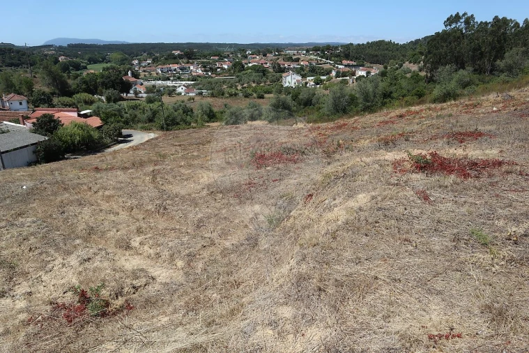 Terreno para Venda em São João da Ribeira e Ribeira de São João Foto 5