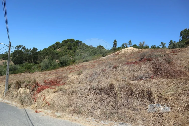 Terreno para Venda em São João da Ribeira e Ribeira de São João Foto 18