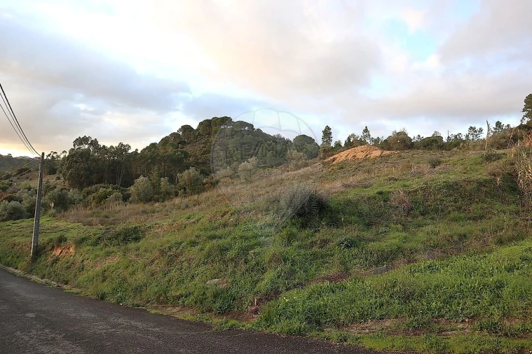 Terreno para Venda em São João da Ribeira e Ribeira de São João Foto 11