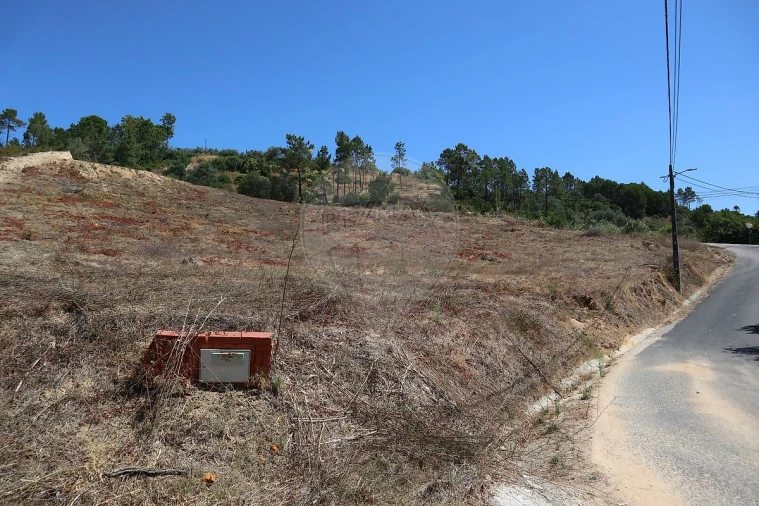 Terreno para Venda em São João da Ribeira e Ribeira de São João Foto 15