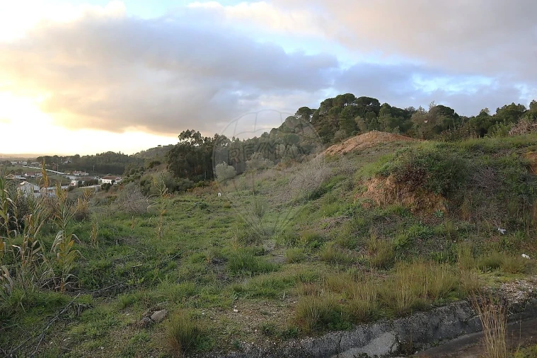 Terreno para Venda em São João da Ribeira e Ribeira de São João Foto 7