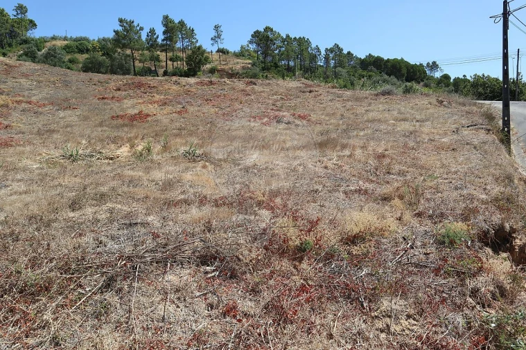 Terreno para Venda em São João da Ribeira e Ribeira de São João Foto 16