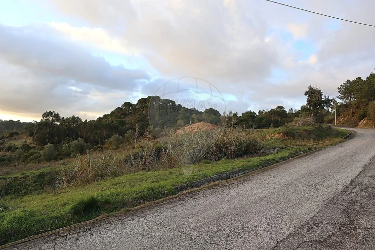Terreno para Venda em São João da Ribeira e Ribeira de São João Foto 9