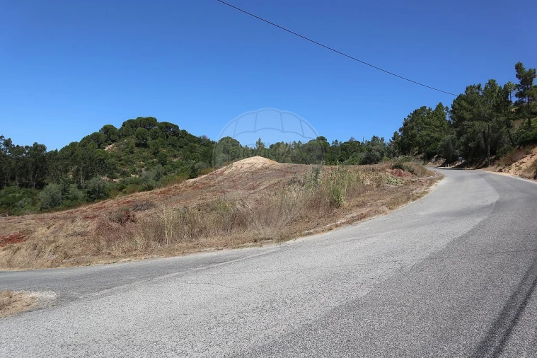 Terreno para Venda em São João da Ribeira e Ribeira de São João Foto 19