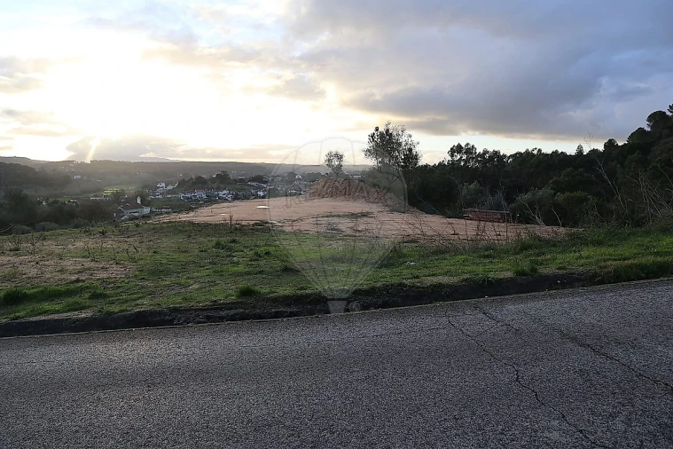 Terreno para Venda em São João da Ribeira e Ribeira de São João Foto 13