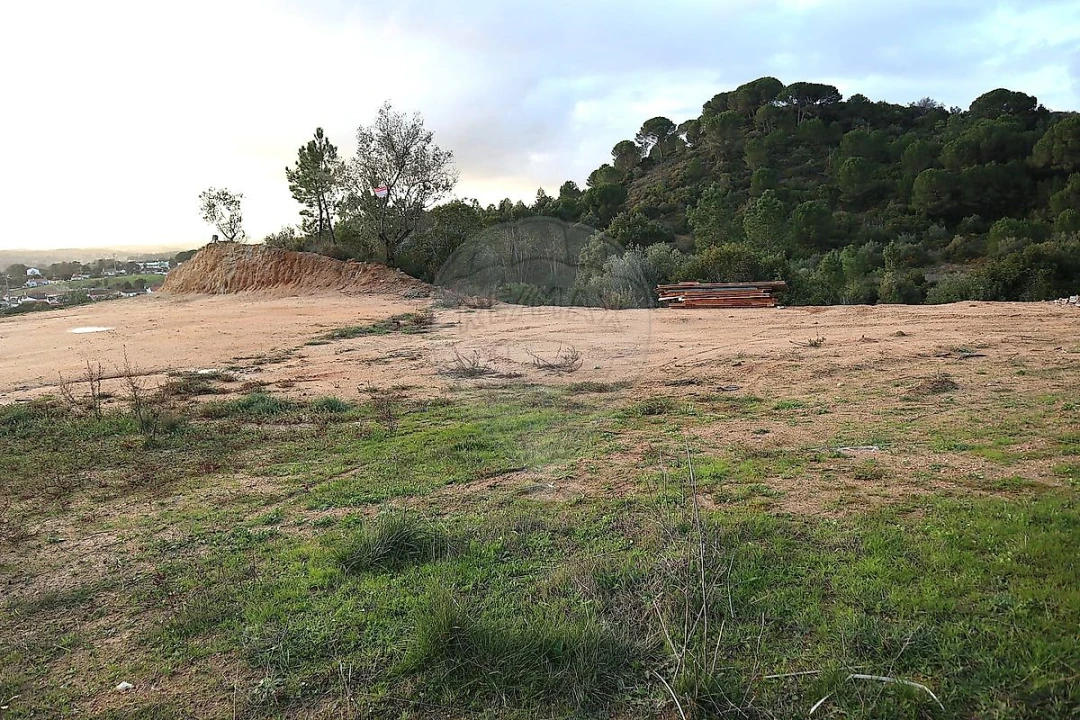 Terreno para Venda em São João da Ribeira e Ribeira de São João Foto 6