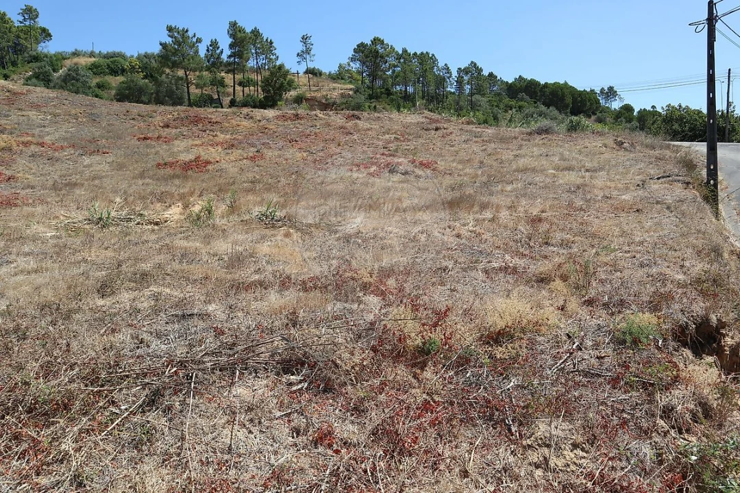 Terreno para Venda em São João da Ribeira e Ribeira de São João Foto 16