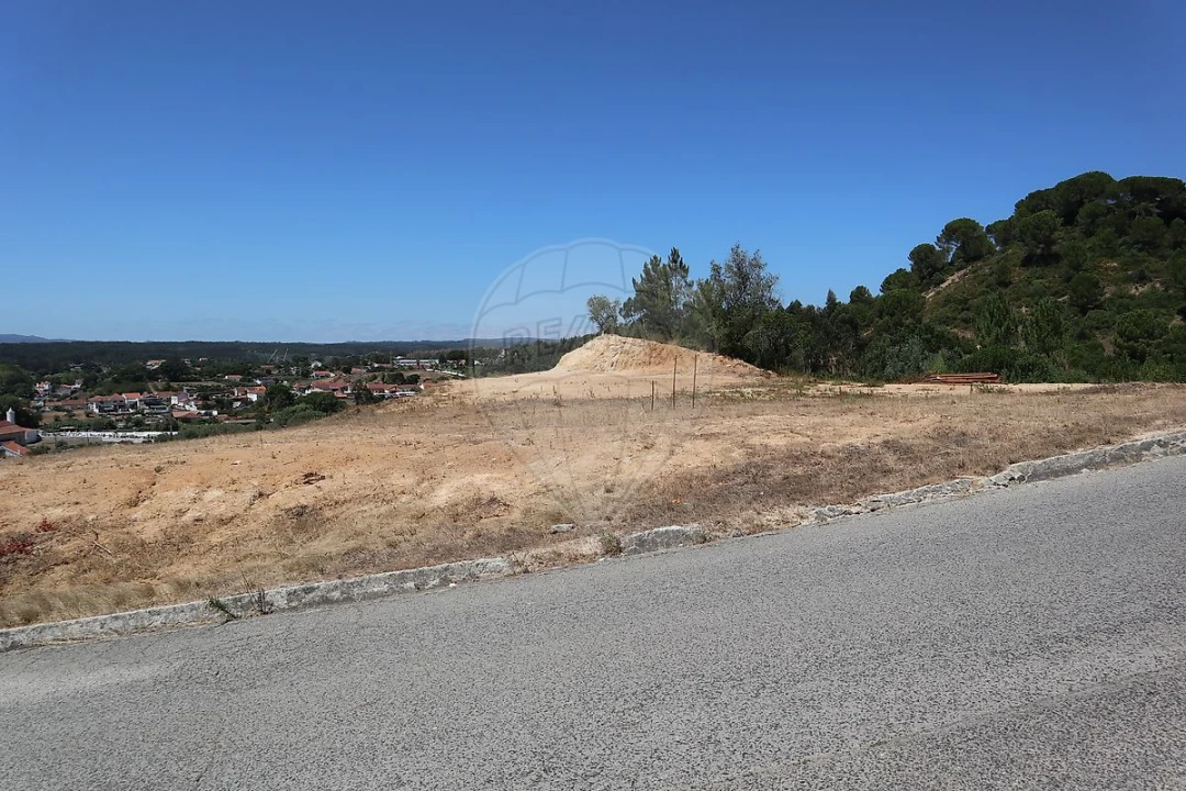 Terreno para Venda em São João da Ribeira e Ribeira de São João Foto 8