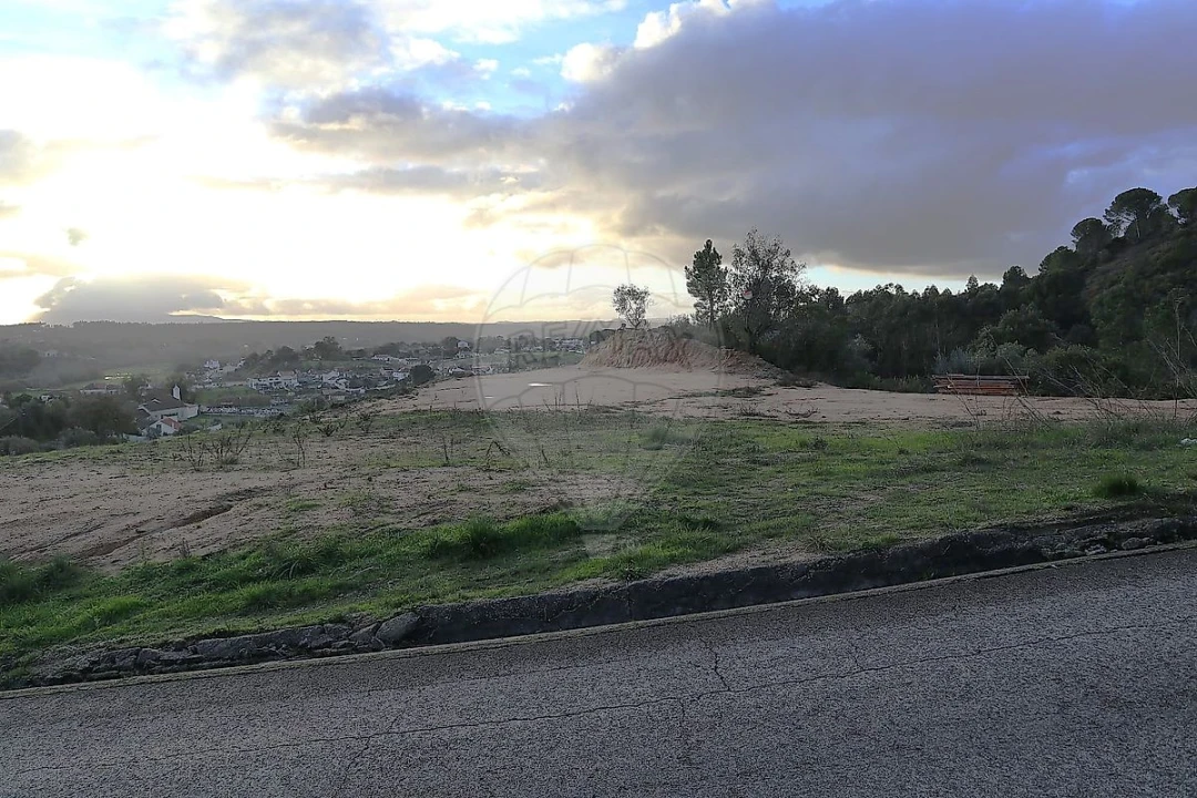 Terreno para Venda em São João da Ribeira e Ribeira de São João Foto 3